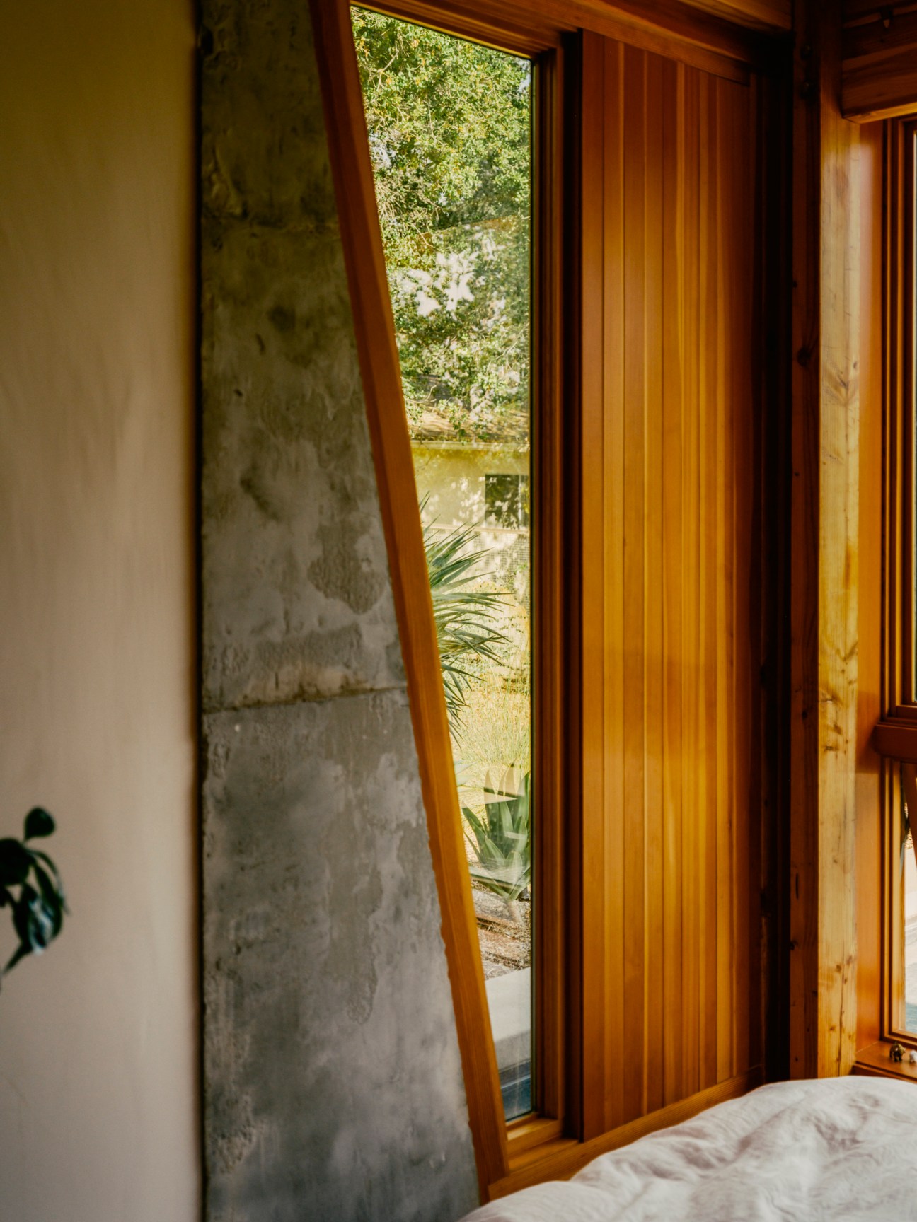 Dramatically angled window providing natural light and framing views of the landscape