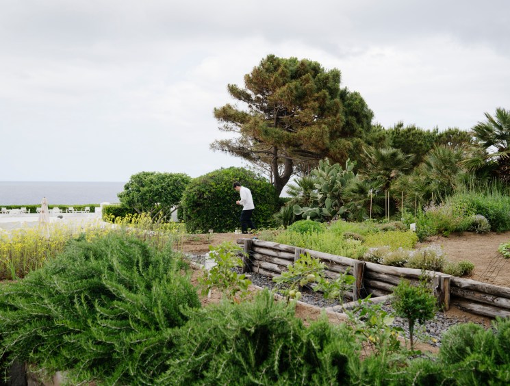 A person tends to an organic garden with raised wooden beds, diverse vegetation and Mediterranean trees under cloudy skies