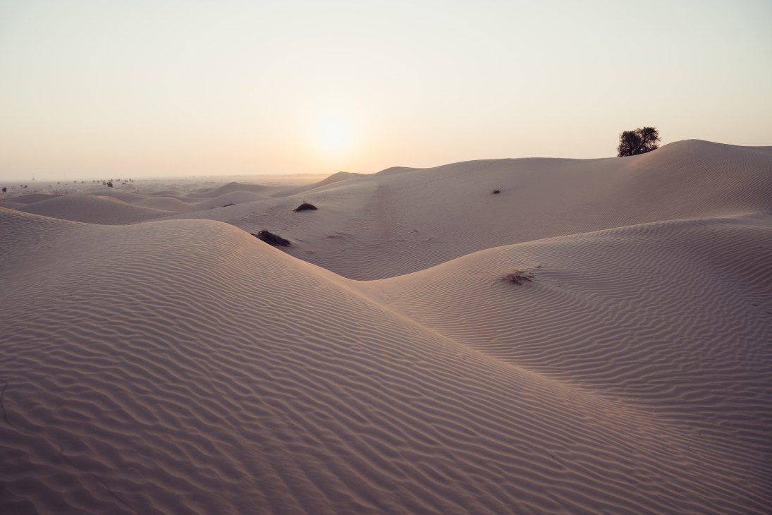 Rolling sand dunes at sunset with sparse vegetation and distant mountains in the UAE desert.