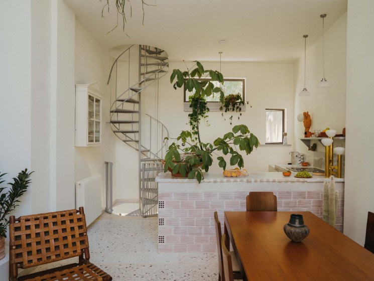 Bright kitchen-dining room with a spiral staircase and large indoor plant.