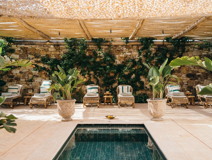 Outdoor spa area with stone pool, wicker loungers, potted plants and ivy-covered stone wall under pergola