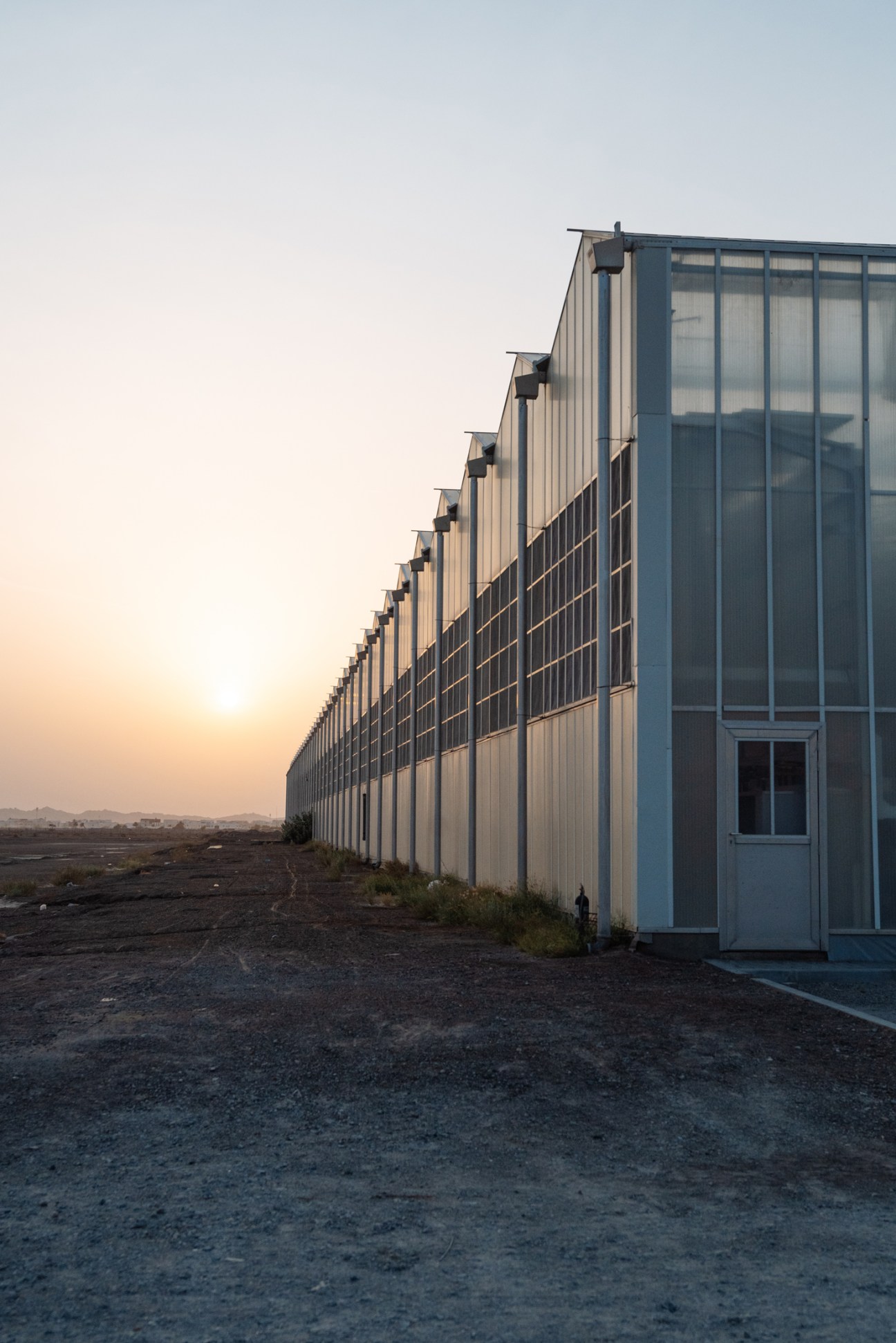A long modern greenhouse with white metal cladding and dark-framed windows stretches across desert landscape at sunset.