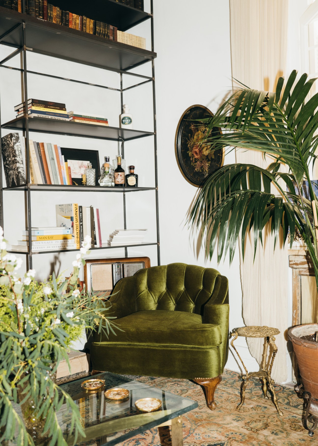 Elegant living room with olive green velvet armchair, metal bookshelf, oriental rug and large palm plant