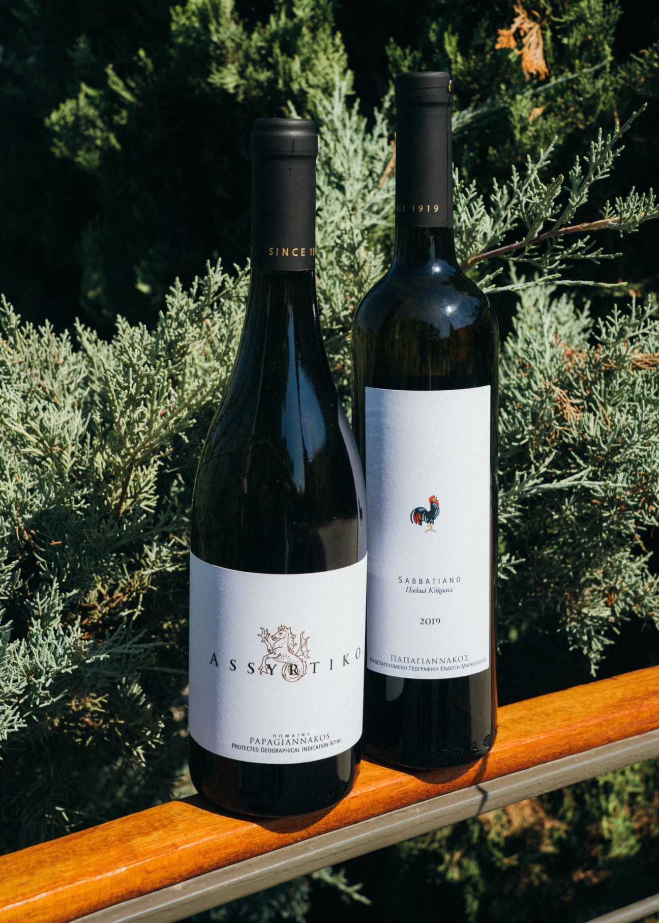Two Greek wine bottles from Papagiannakos winery displaying Assyrtiko and Sabbatiano varietals on wooden surface