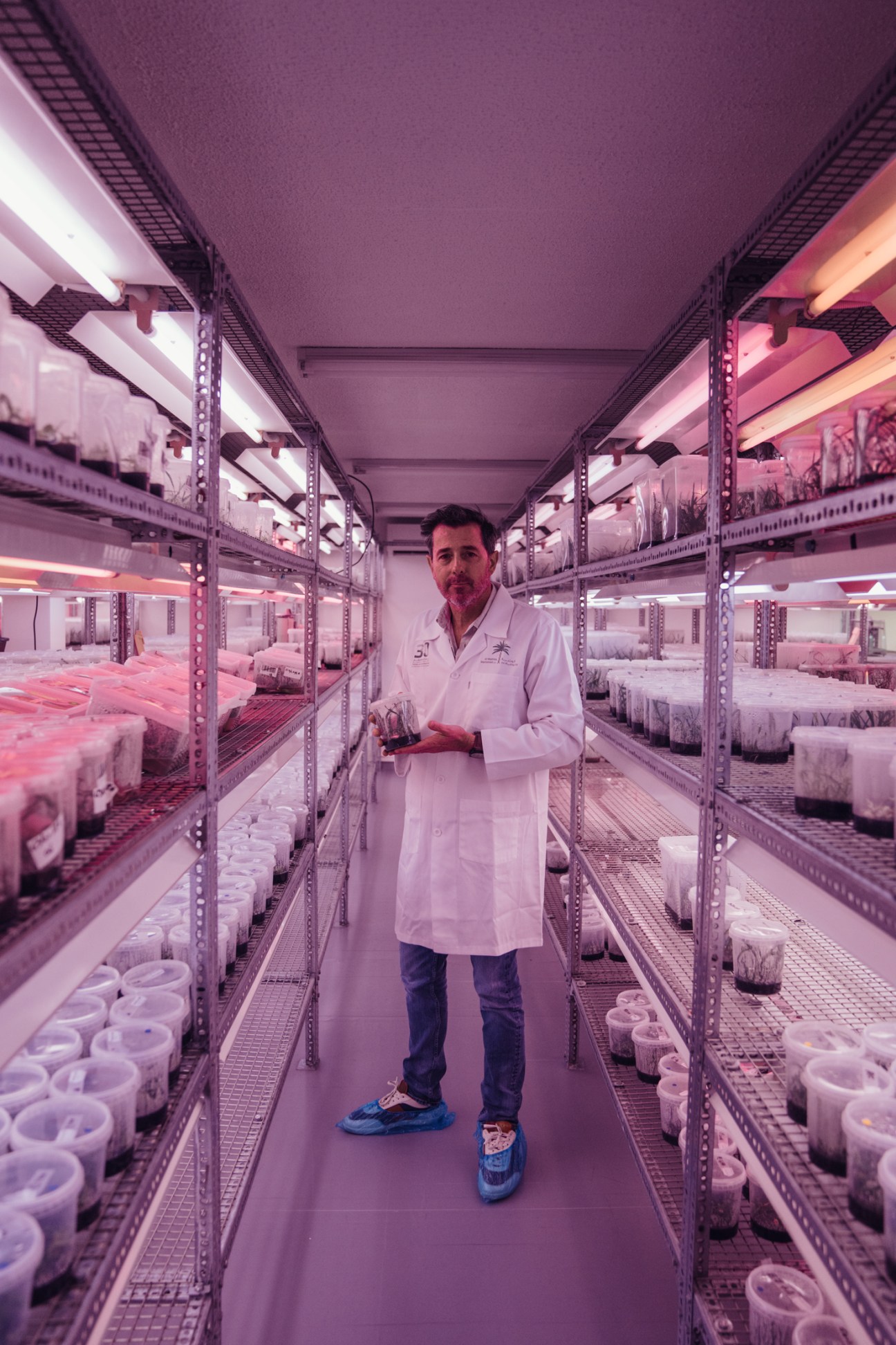 Man in white lab coat stands in controlled greenhouse environment with pink lighting and shelving.