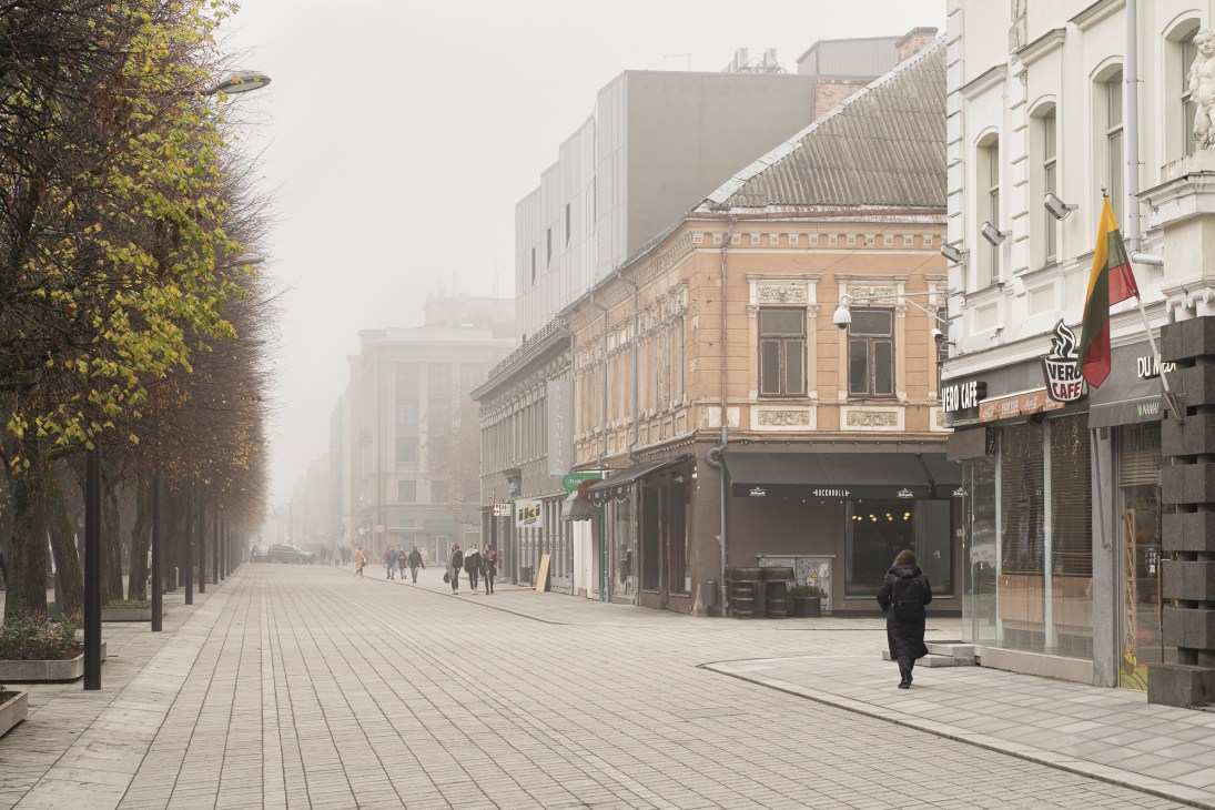 Morning fog on the tree-lined pedestrian boulevard of Laisves Aleja in Kaunas
