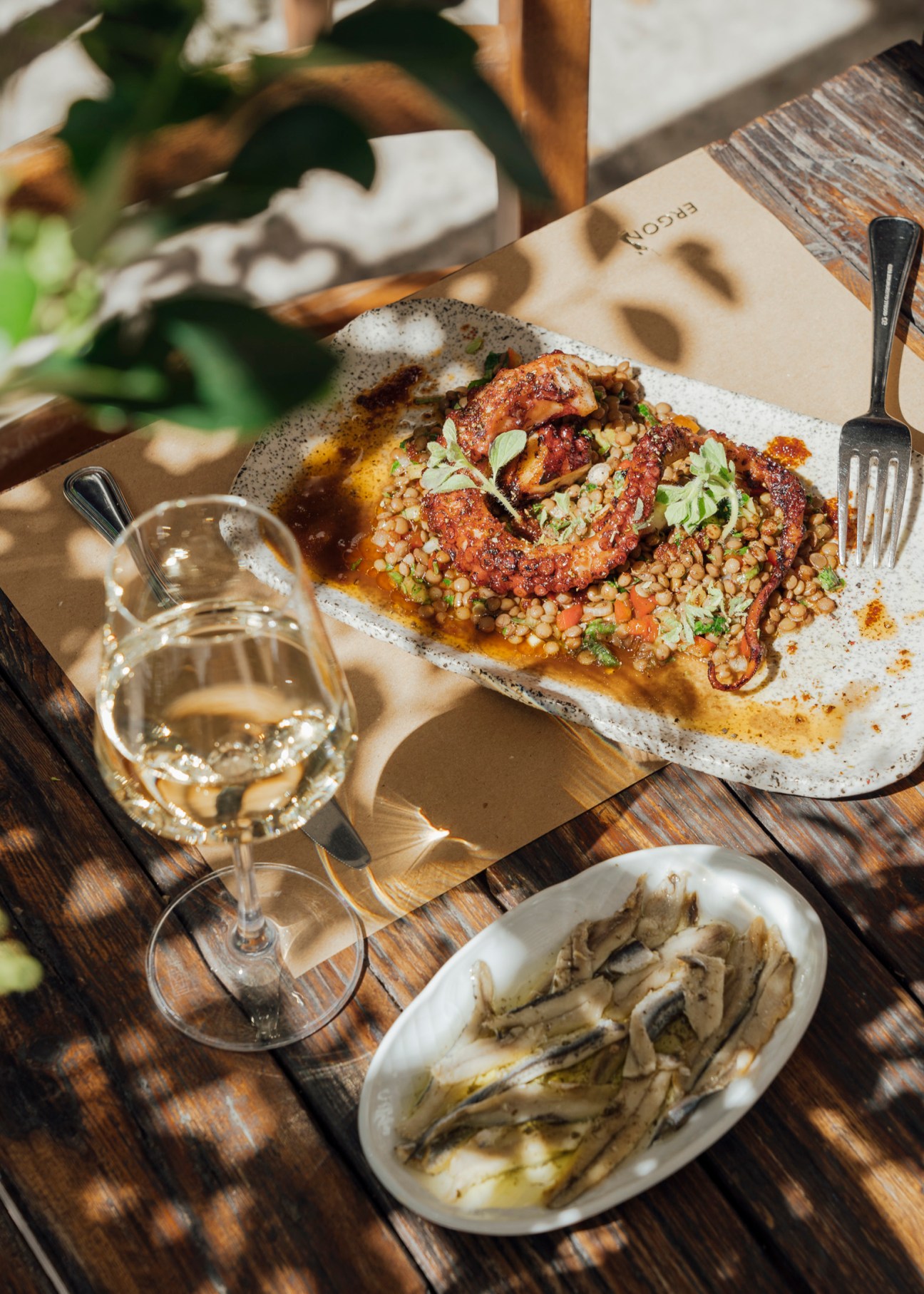Grilled meat with quinoa salad and garnish on a white speckled plate, served with white wine and oysters.