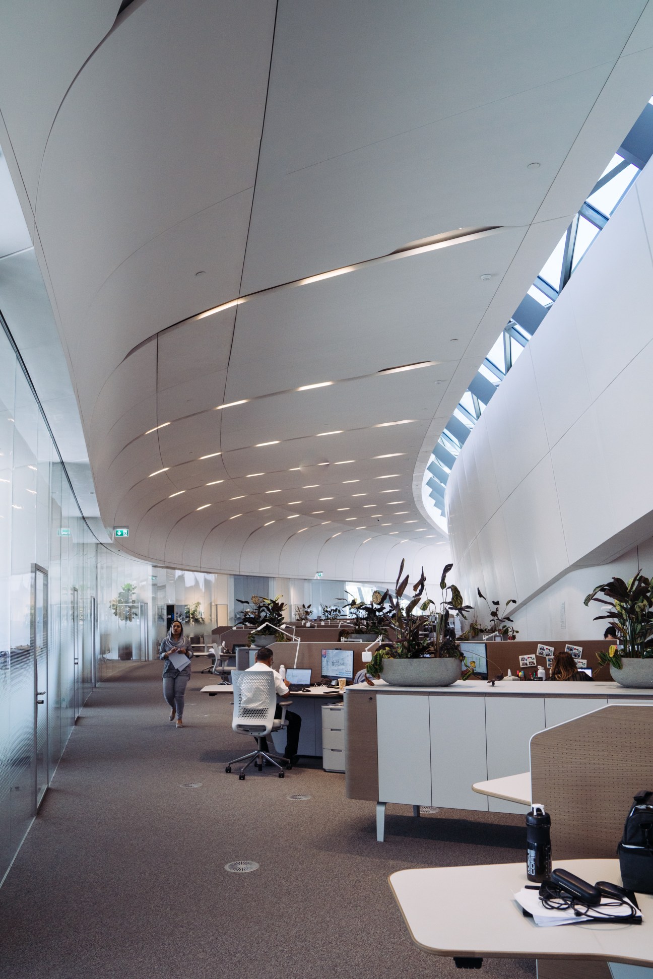 Curved white ceiling with skylights in an open-plan office with employees at desks and potted plants.