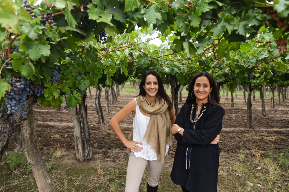 Two women standing together in a vineyard with grape vines overhead