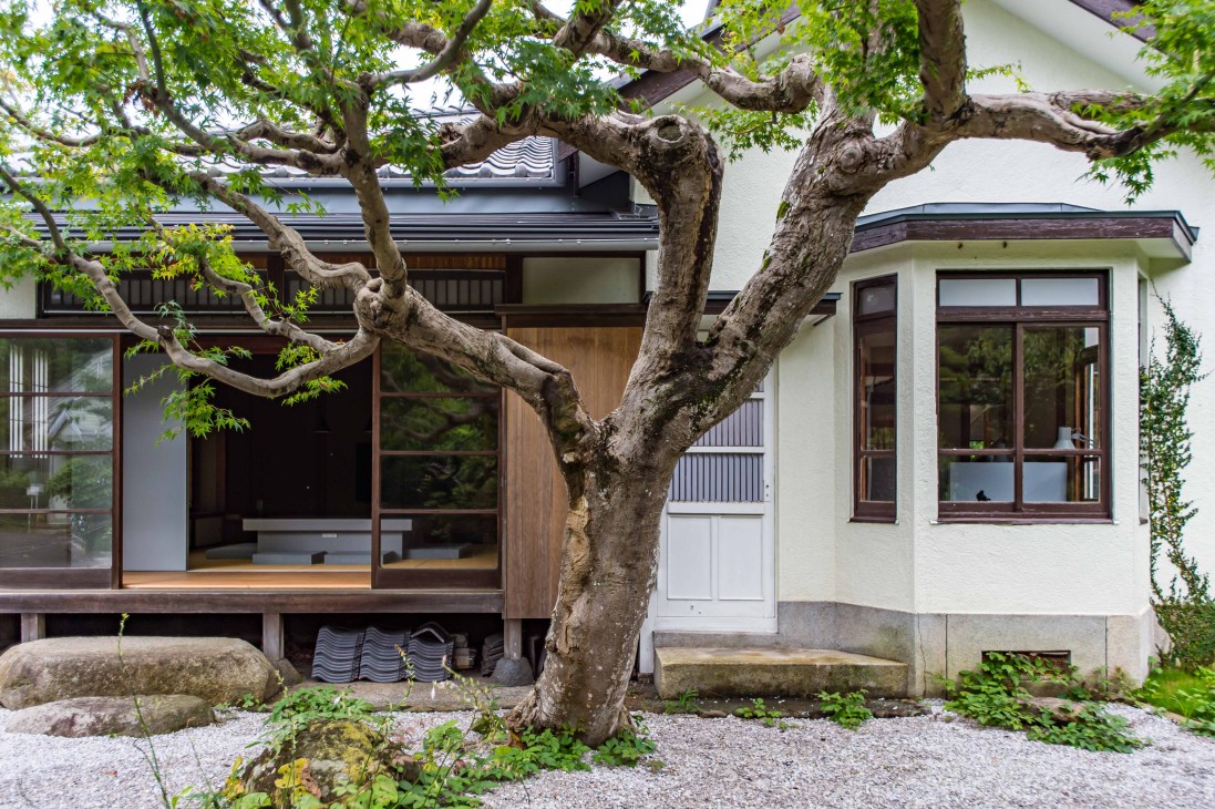Leafy Japanese garden with mature tree and traditional architecture building.