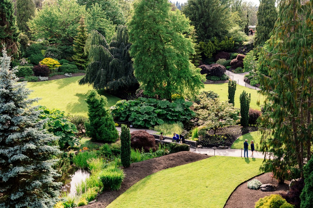 Katherine Howard, a parks planner, standing in a Vancouver park with trees and green space behind her