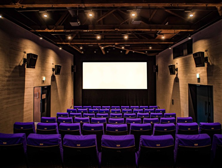 Small cinema auditorium with purple seats and a bright white screen.