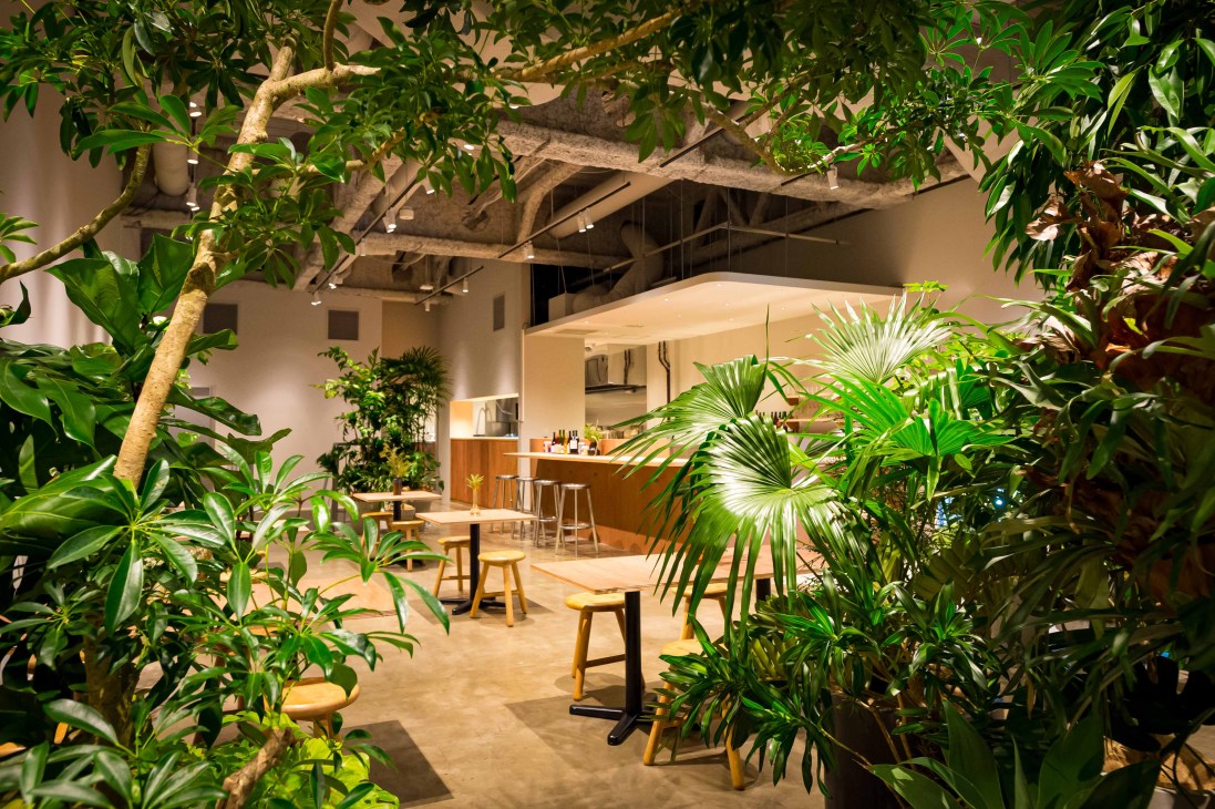 Interior dining area of Keshiki restaurant with lush tropical plants, exposed beams and wooden furniture