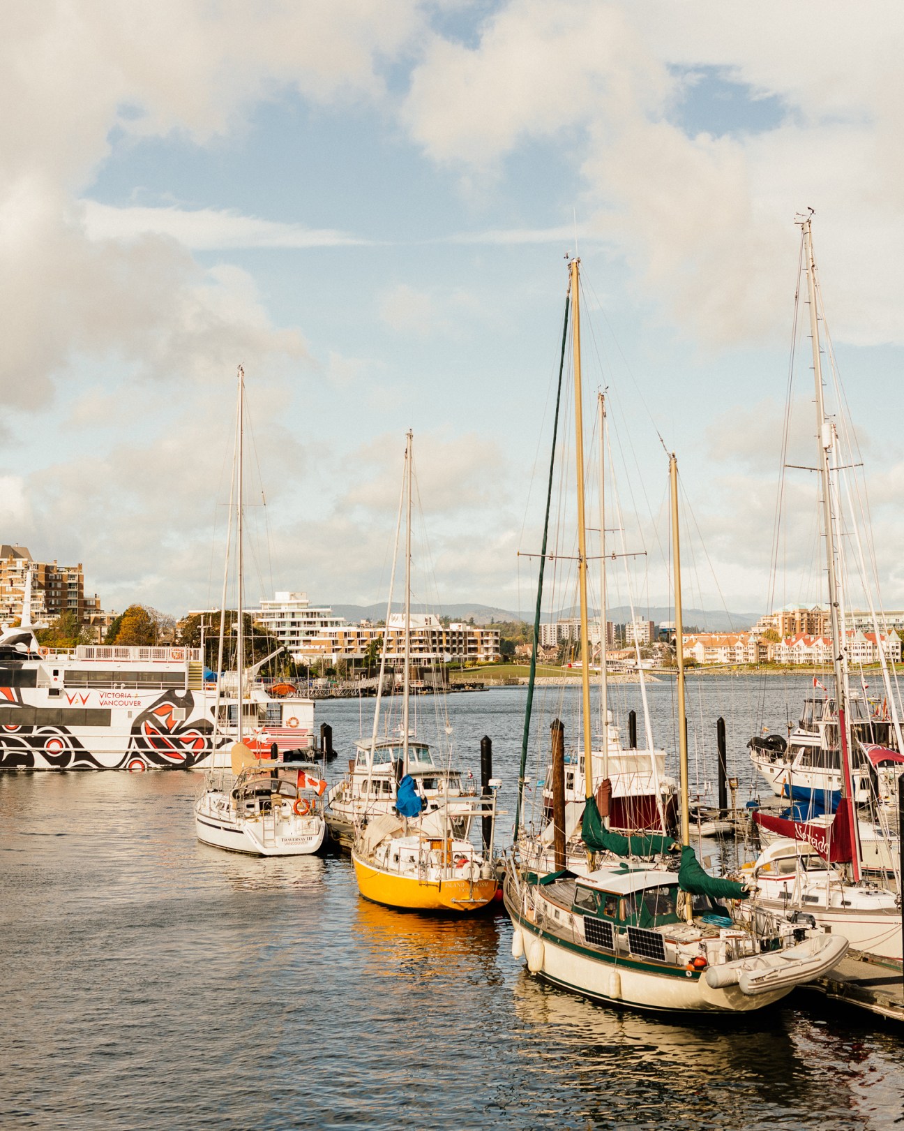 Sailboats moored at a waterfront dock with colorful hulls and tall masts.