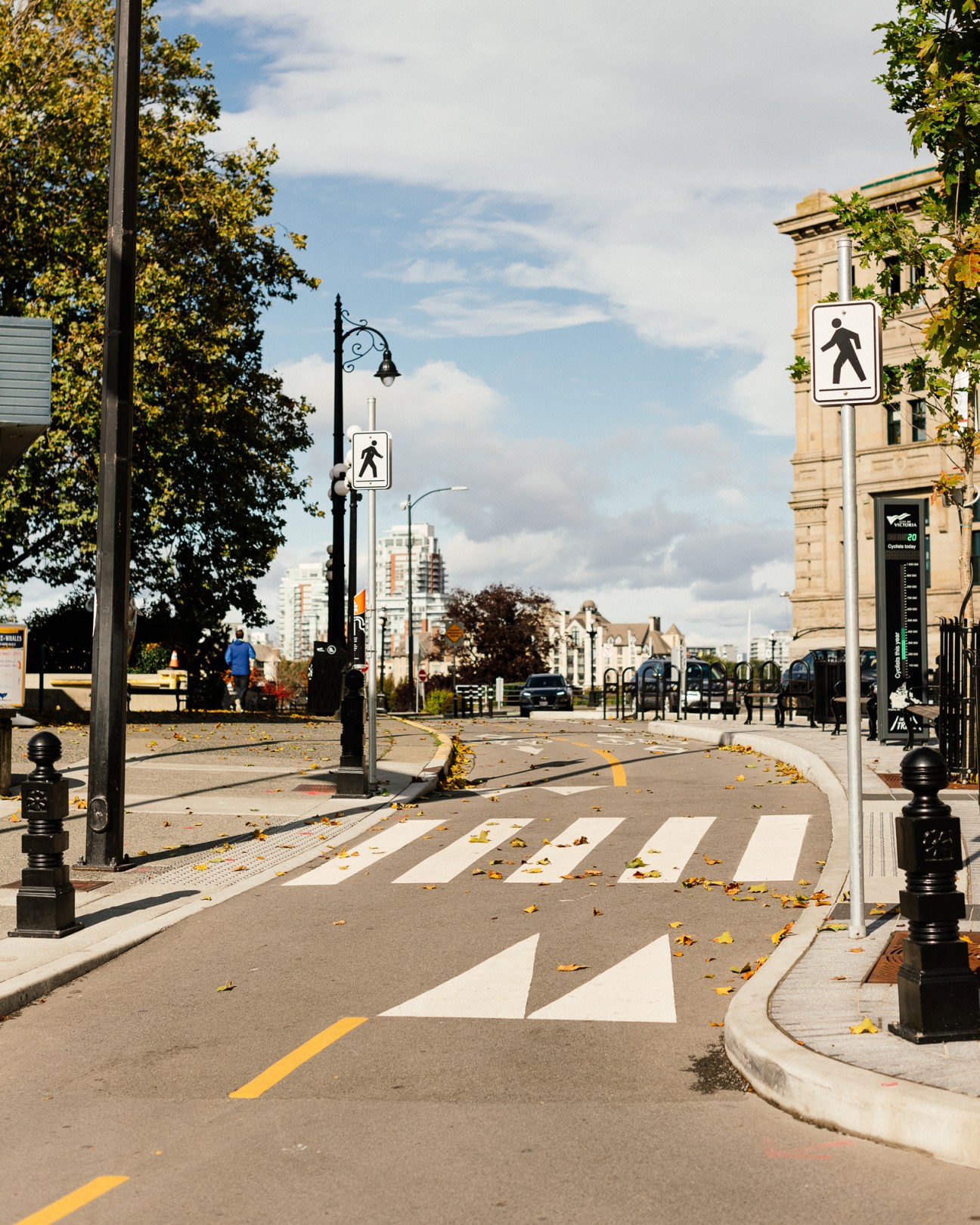 Pedestrian crossing on a tree-lined street in Victoria, Canada, with historic buildings and waterfront visible in the distance.
