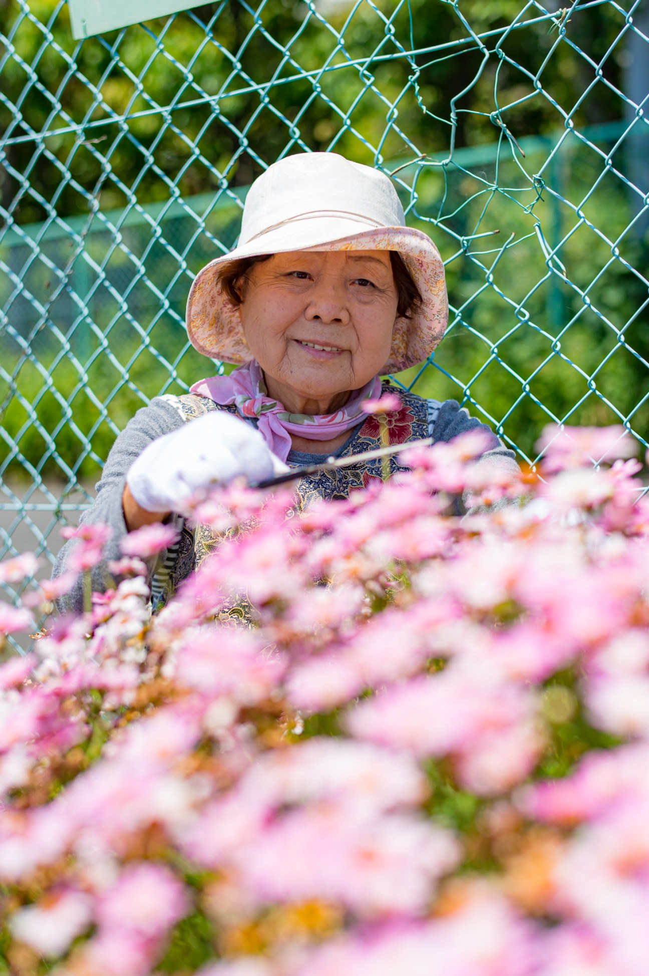 Elderly woman in white hat and floral clothing smiling behind chain link fence with pink flowers in foreground