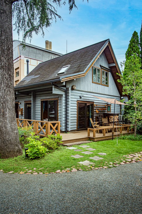 Modern log cabin with grey-washed D-shaped logs, wooden deck, and surrounding greenery.
