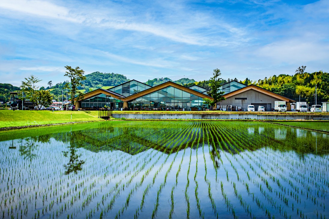 Mashiko Roadside Station with wooden architecture overlooks rice fields and mountains under blue sky.