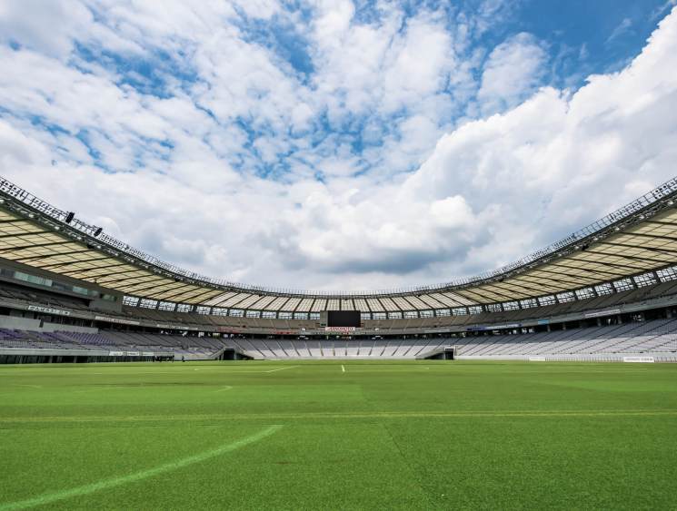 Rugby World Cup 2019