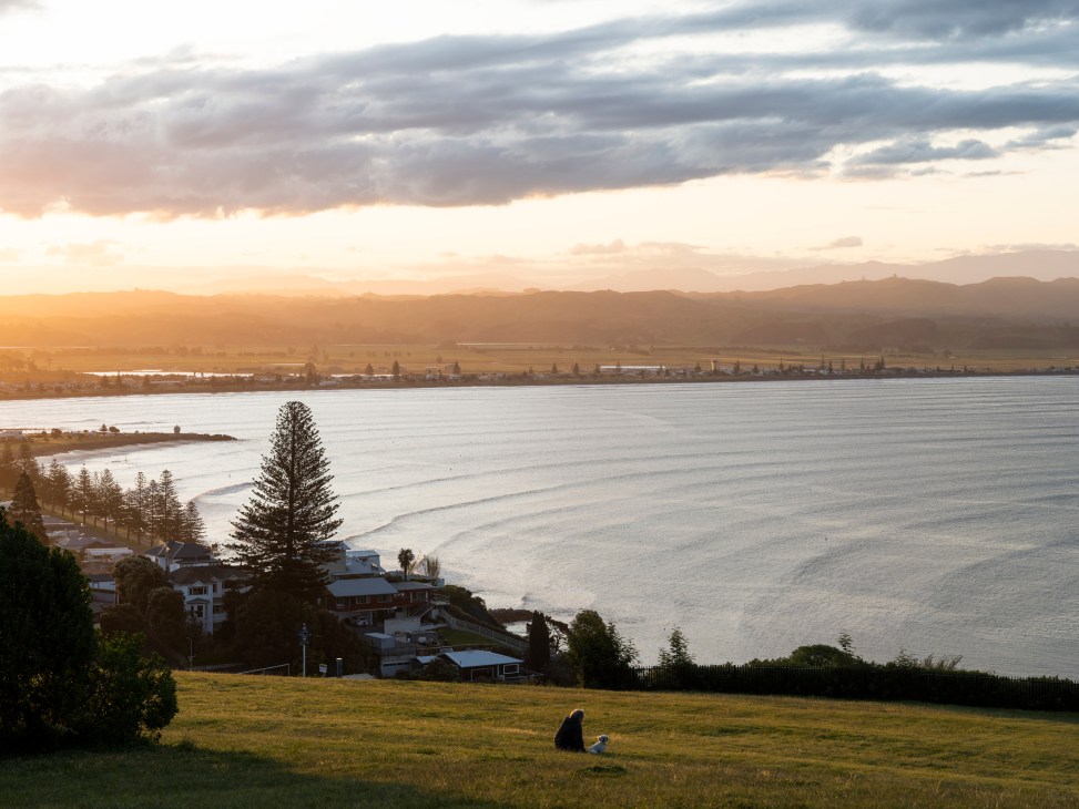 Sunset over Hawke's Bay with rolling hills, coastline, and a person sitting in a grassy field overlooking the water