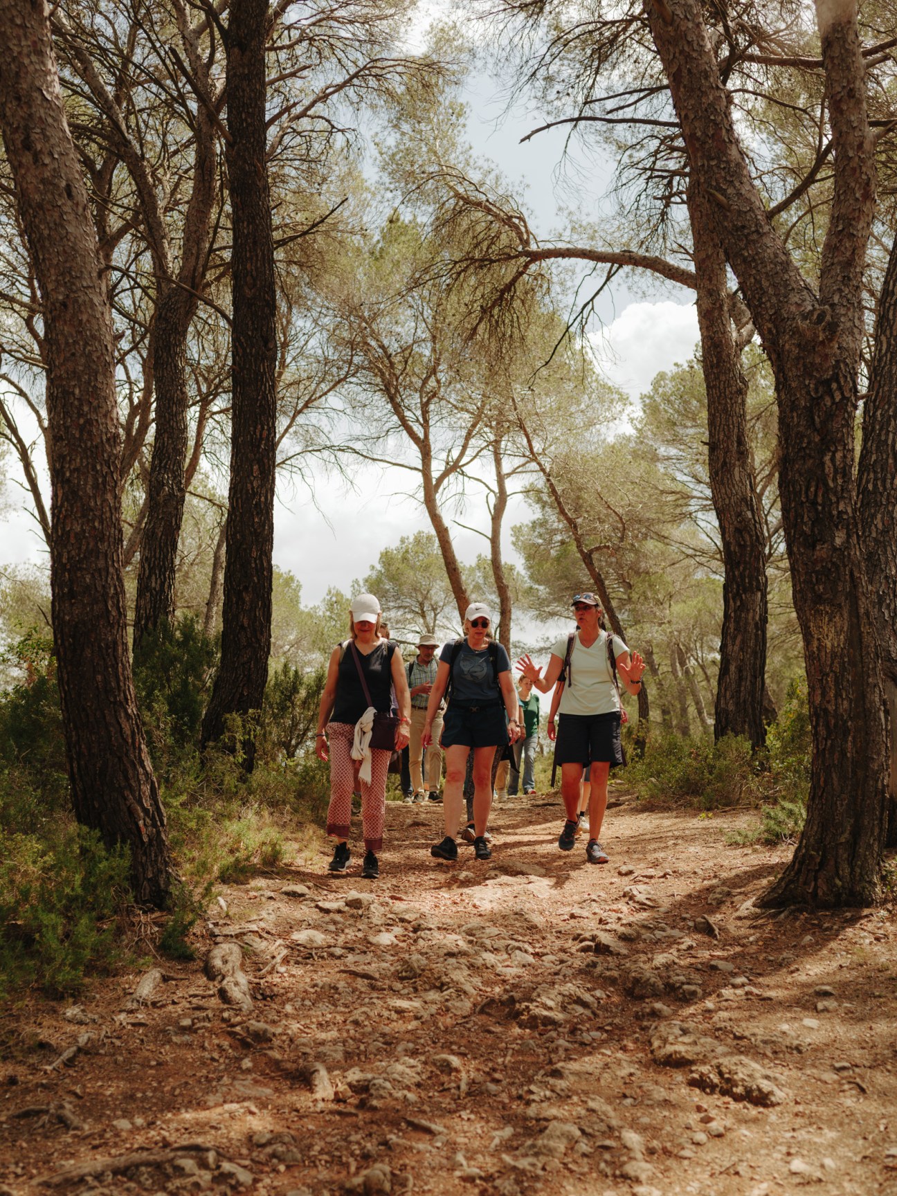 Group of language students hiking together through the hills of Provence