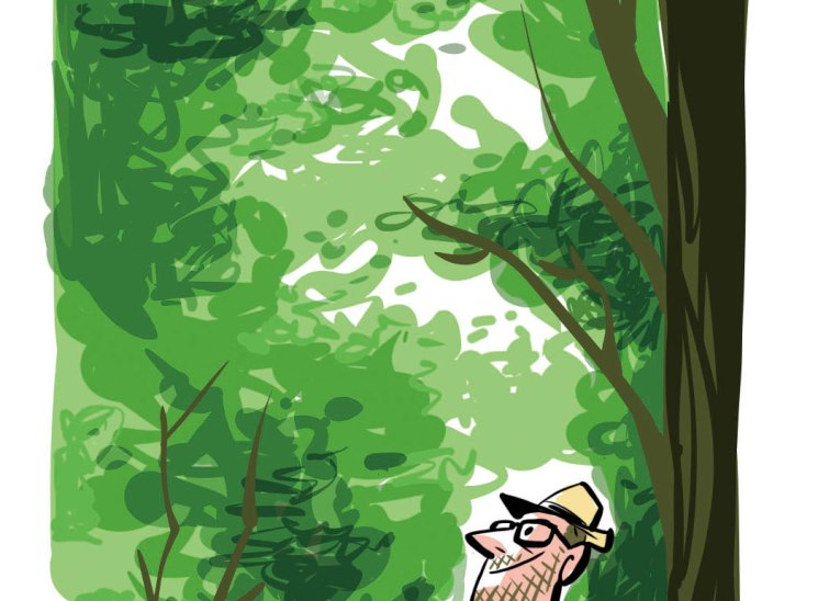 Illustration of a man with binoculars looking up at a blue bird singing in a tree overlooking a park.