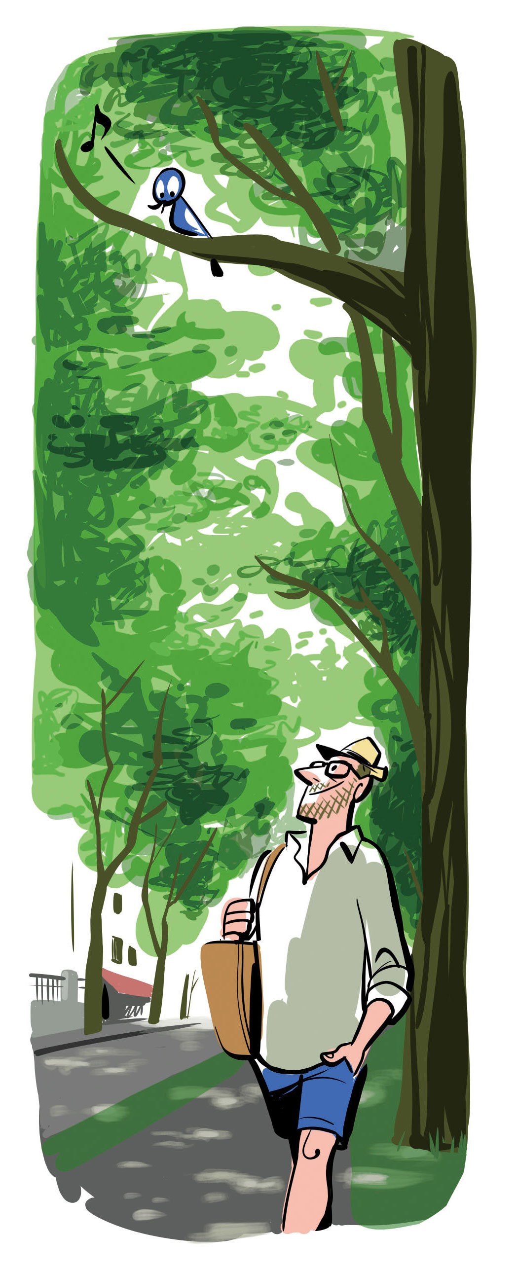 Illustration of a man with binoculars looking up at a blue bird singing in a tree overlooking a park.