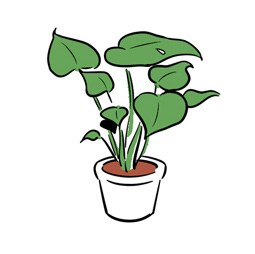 Illustration of a potted plant with large green leaves in a white container.