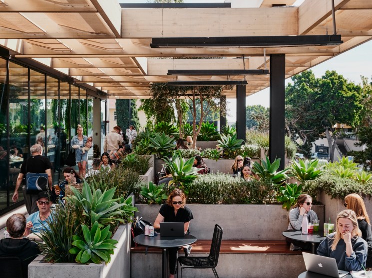 Modern outdoor dining area with wooden pergola, concrete planters, and people working on laptops at tables