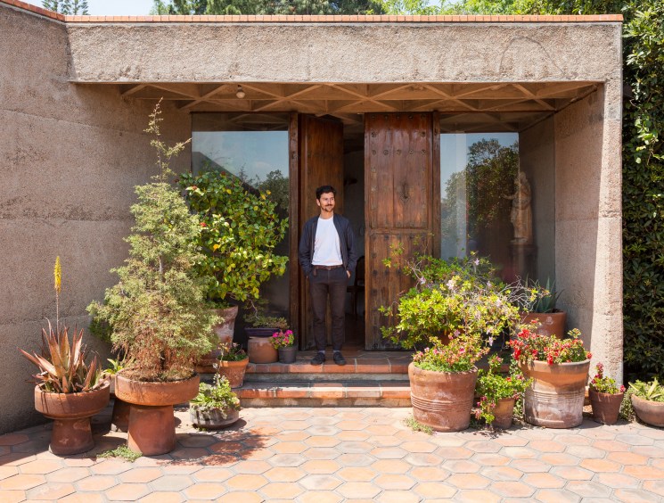 Five simple tips to grow more greenery at home and in your neighbourhood