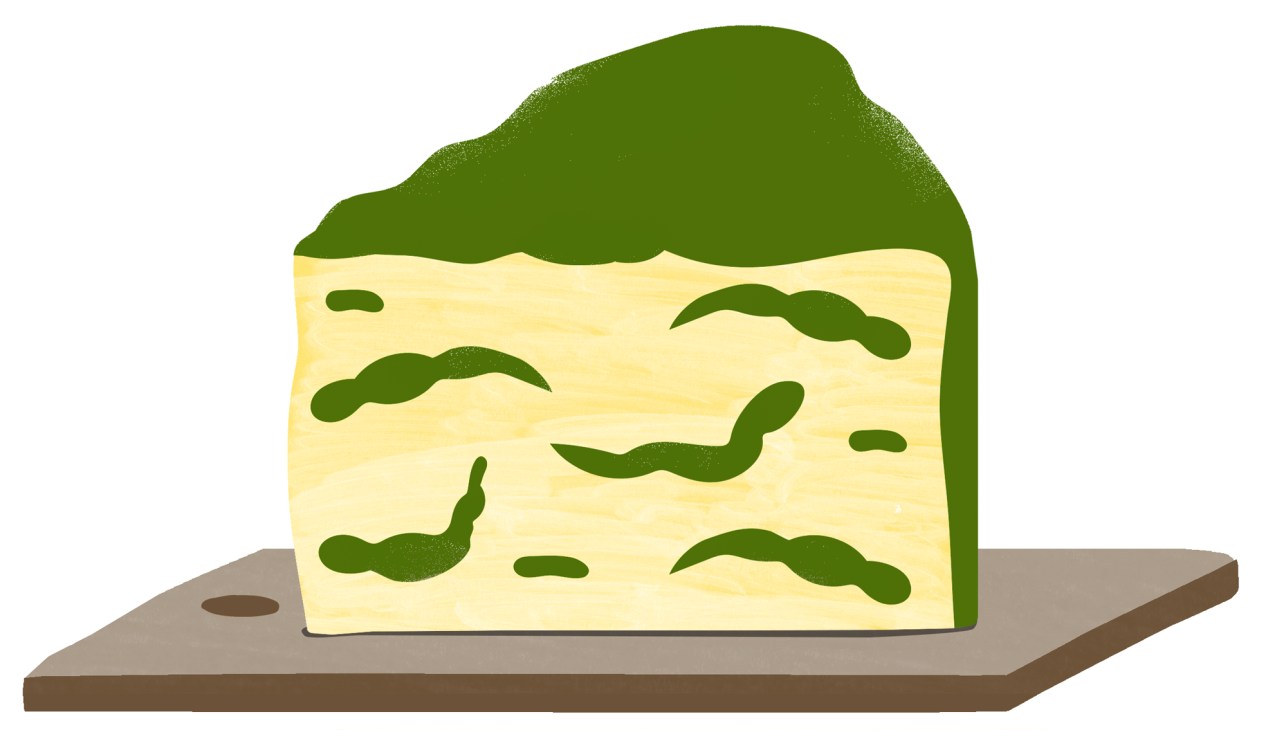 Wedge of blue cheese with green-blue veining on a marble cutting board