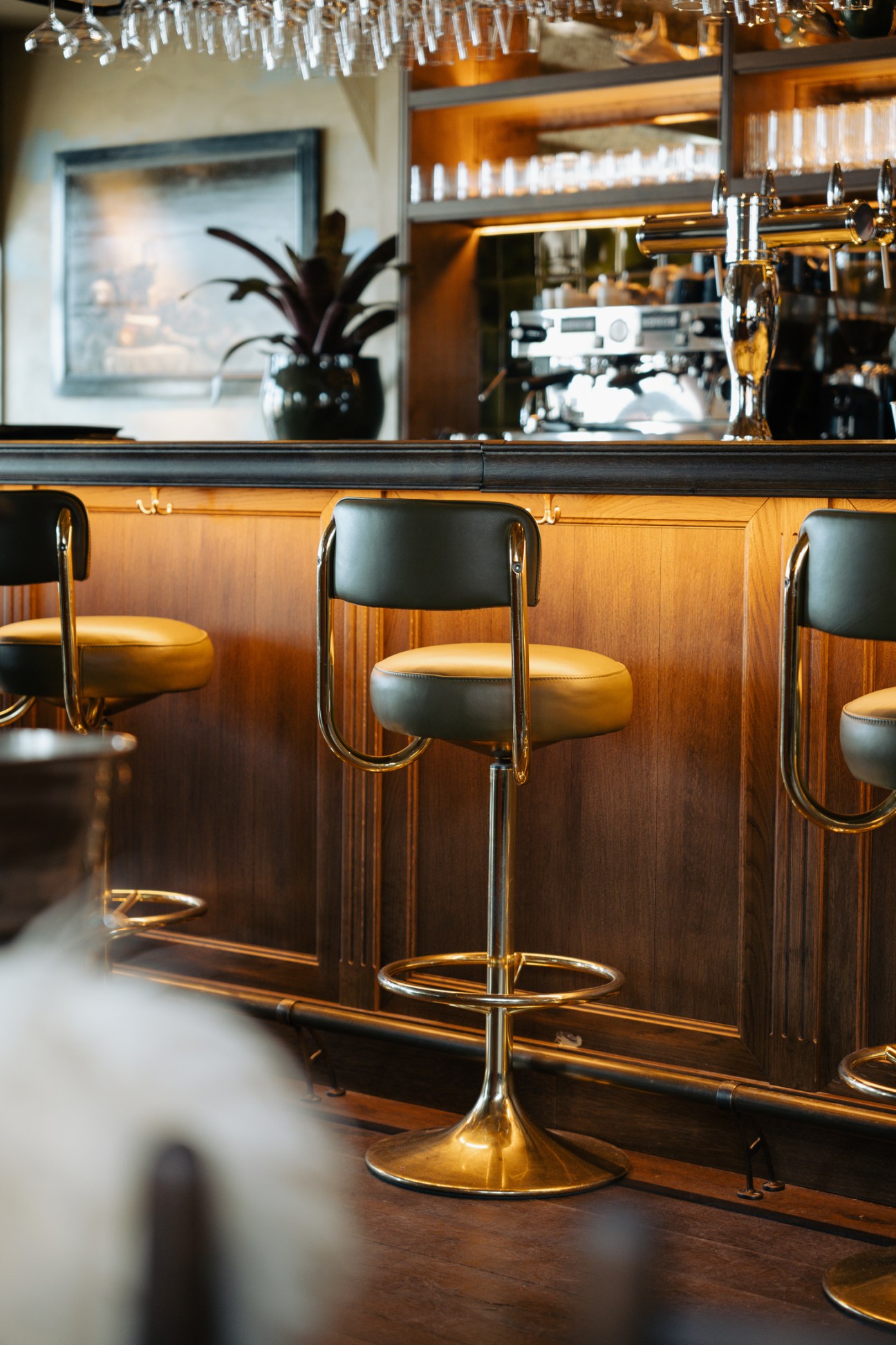 Modern bar interior with leather and brass bar stools, wooden cabinetry, hanging glassware and warm ambient lighting