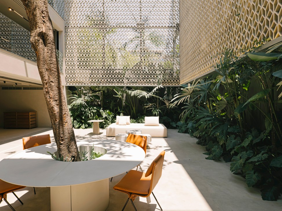Sunlit courtyard with tropical plants and natural materials in modern retail space