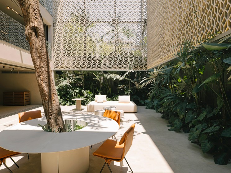Sunlit courtyard with tropical plants and natural materials in modern retail space