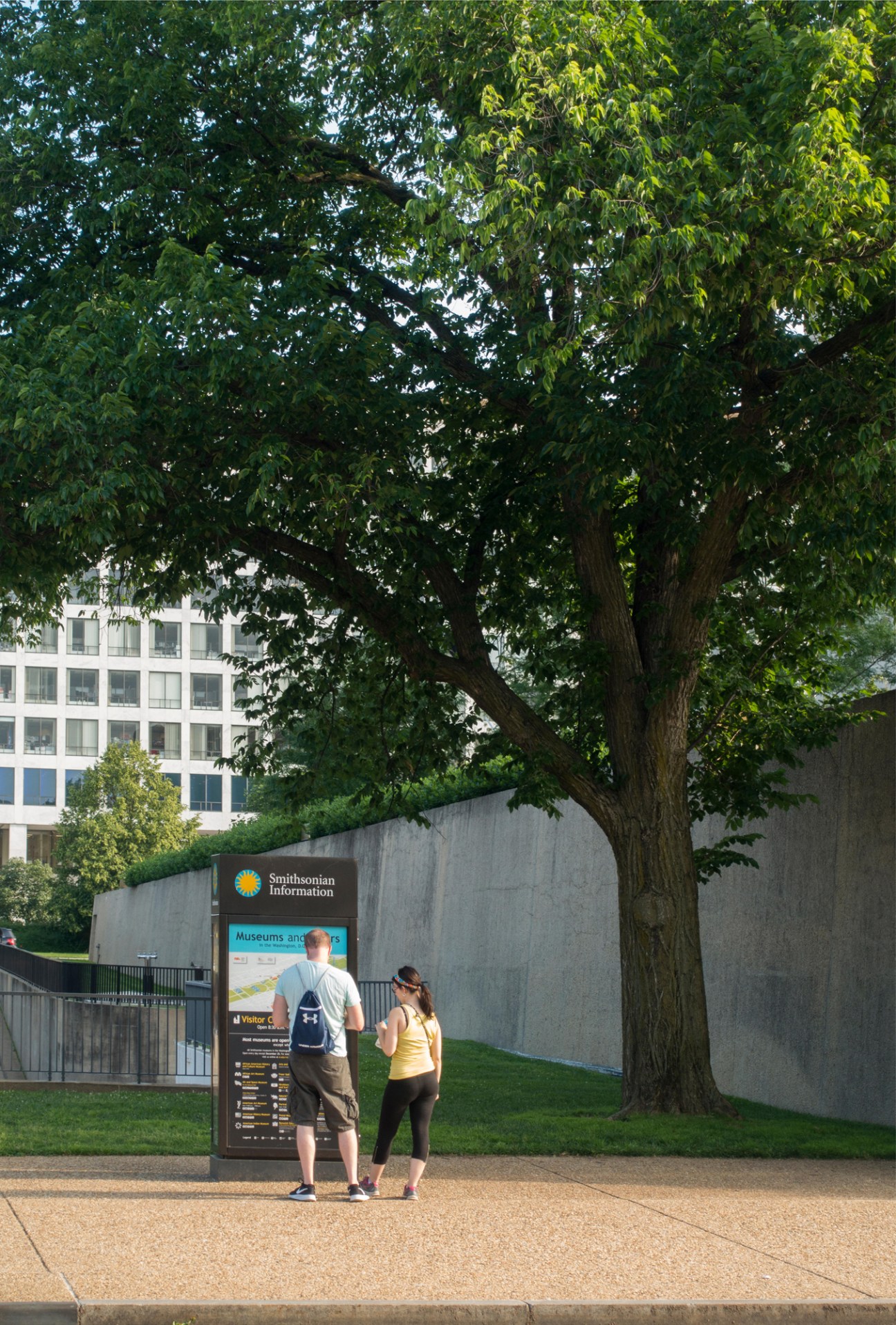 Two people reading a Smithsonian Information board under a large tree in an urban setting