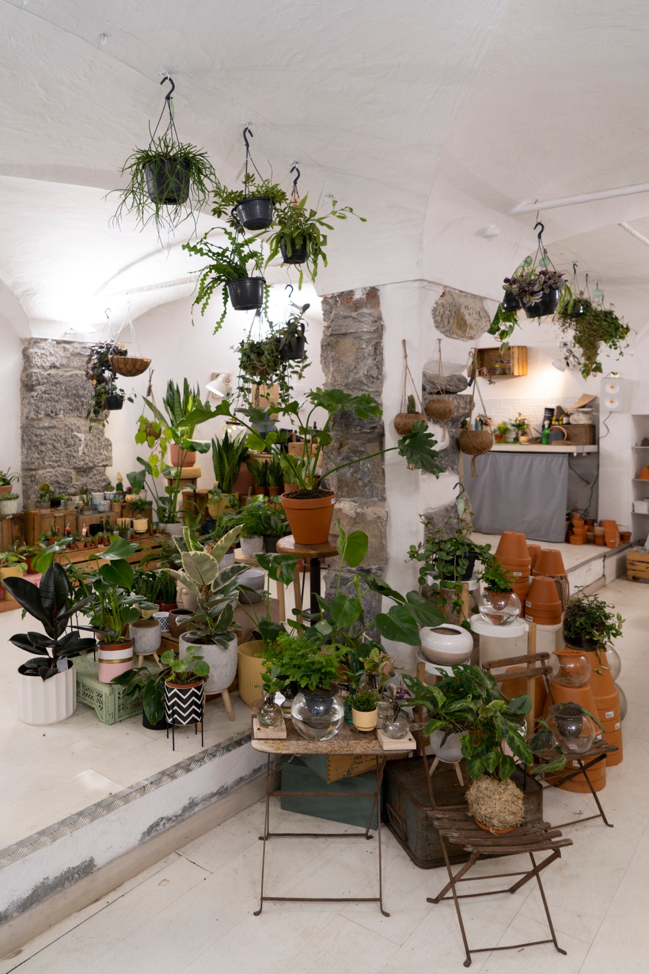 Various potted plants displayed on shelves and hanging from ceiling in white arched interior space