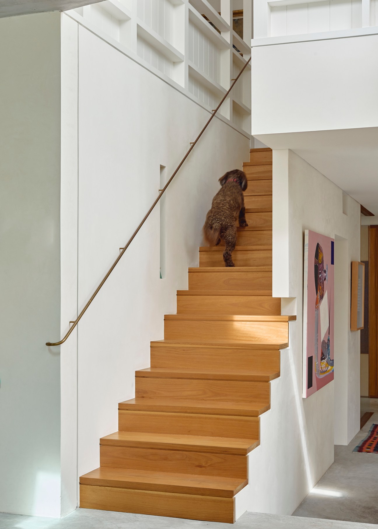 Dog walking up wooden stairs in modern home interior