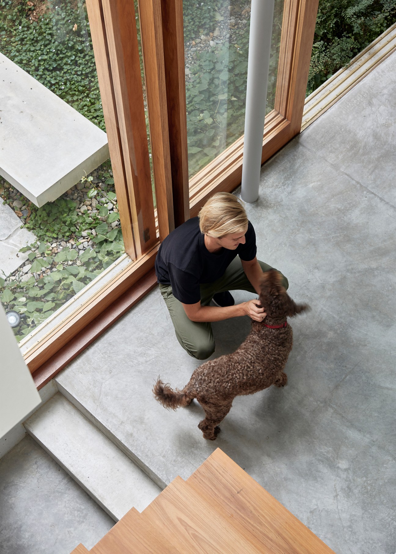Cookie the dog getting a good pat from owner