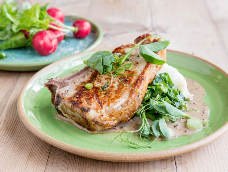Seared meat with greens and cream sauce on a green plate.
