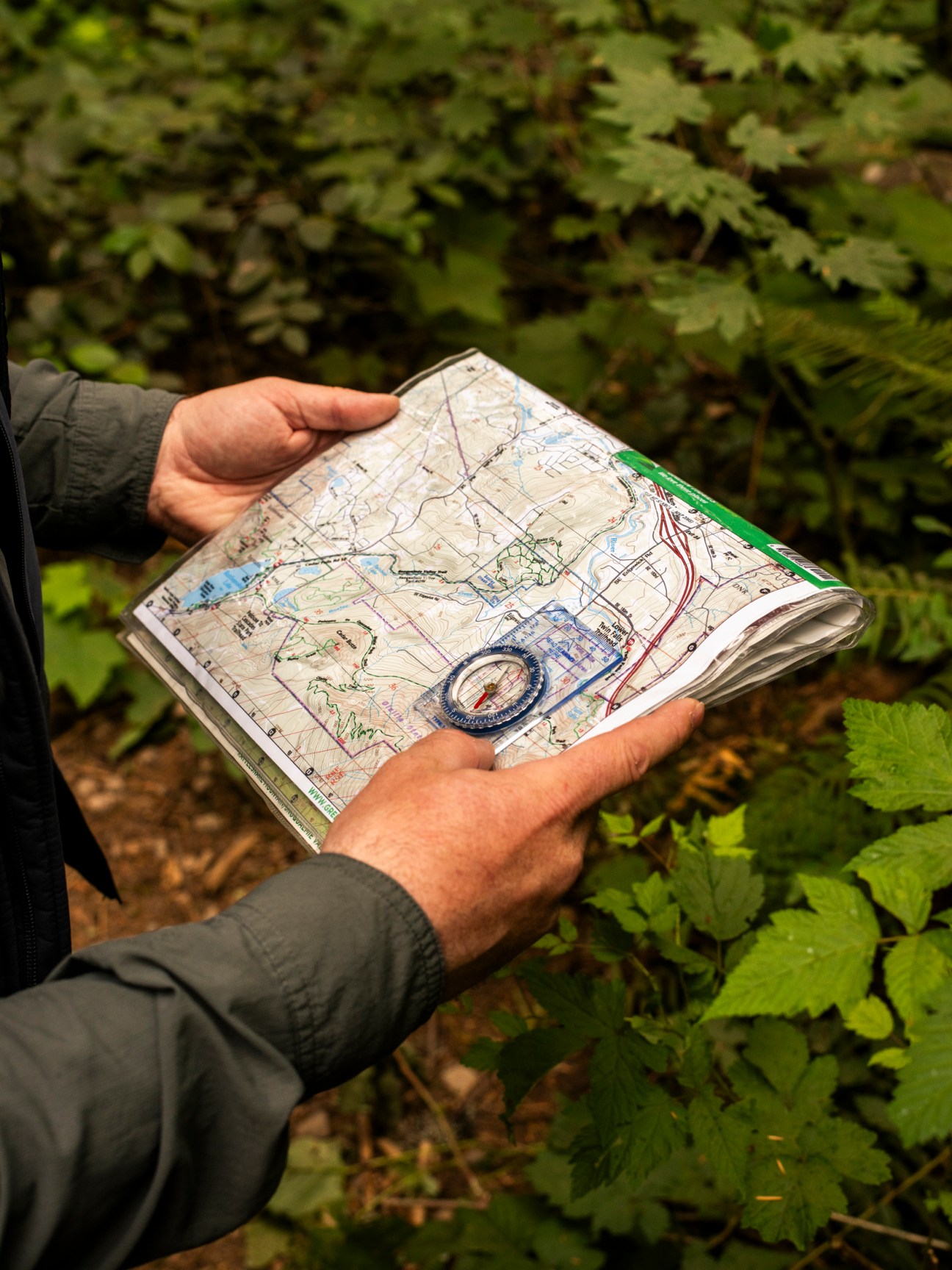 A person's hands hold an open Green Trails paper map while standing among green foliage.