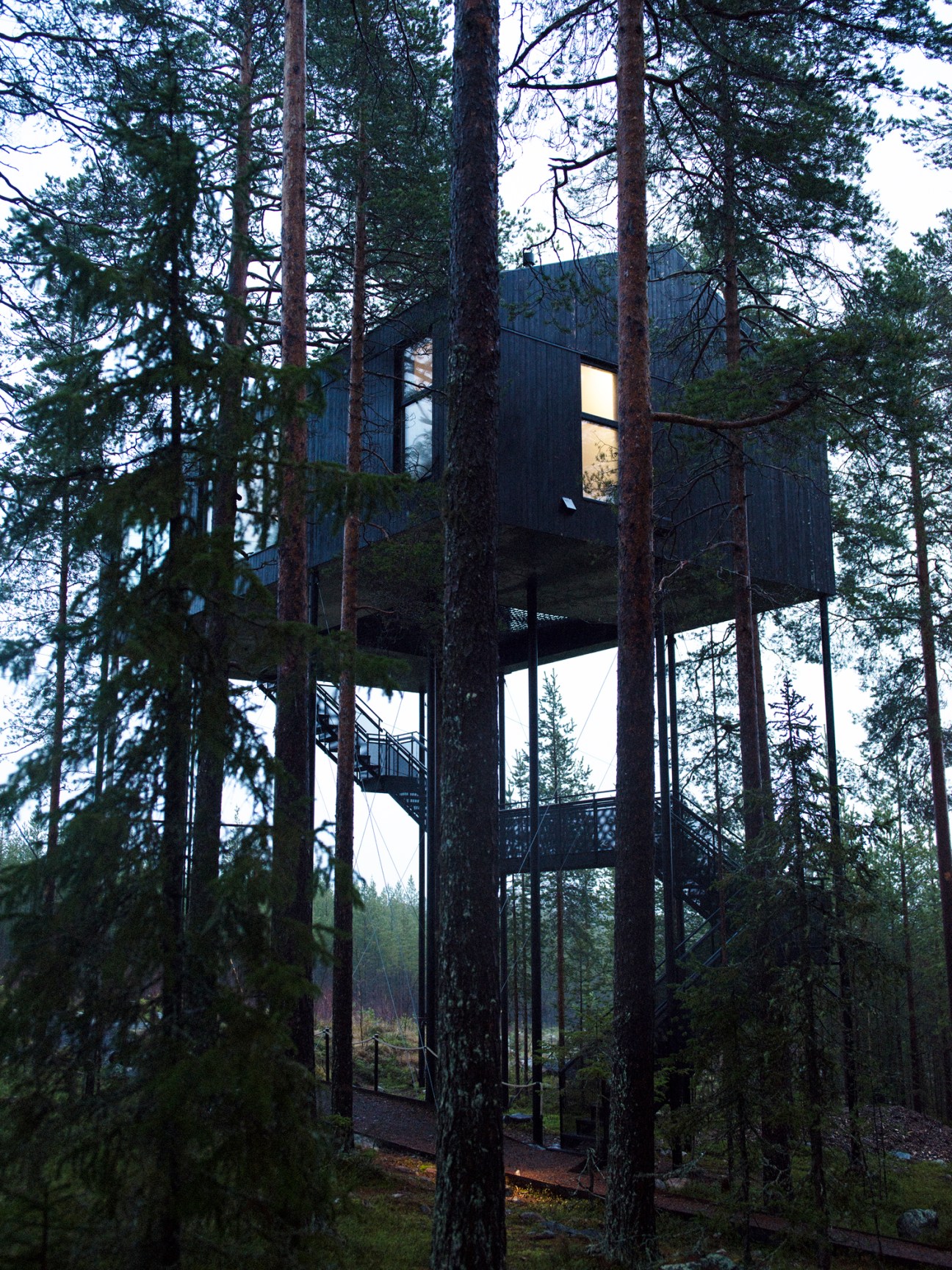 Geometric wooden cabin structure suspended among tall pine trees