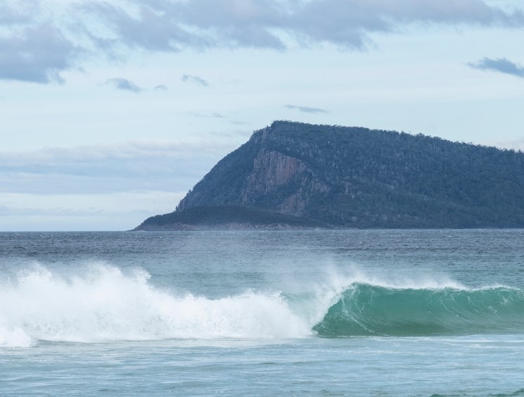 Island of plenty