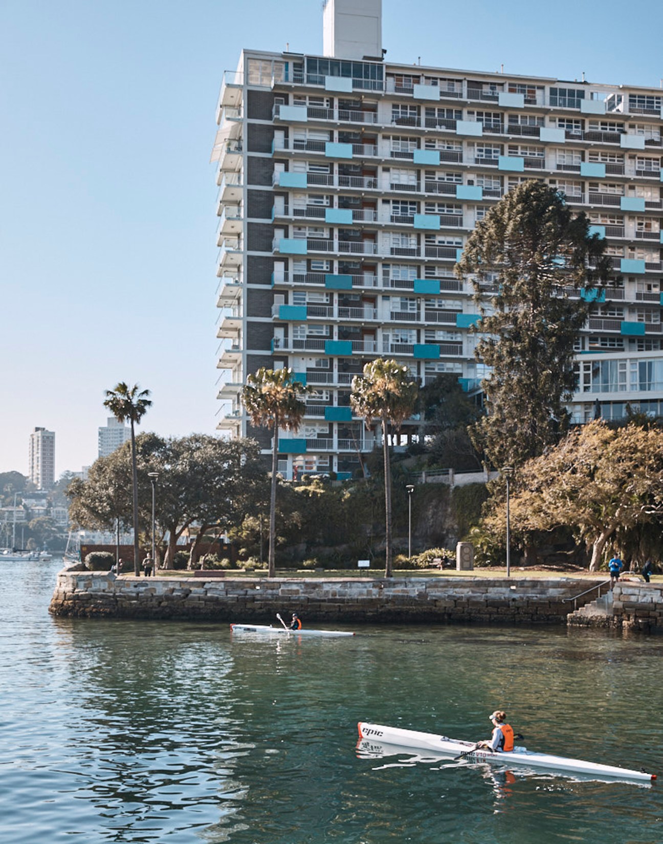 Two people rowing single sculls on calm water near a waterfront with apartment buildings and trees
