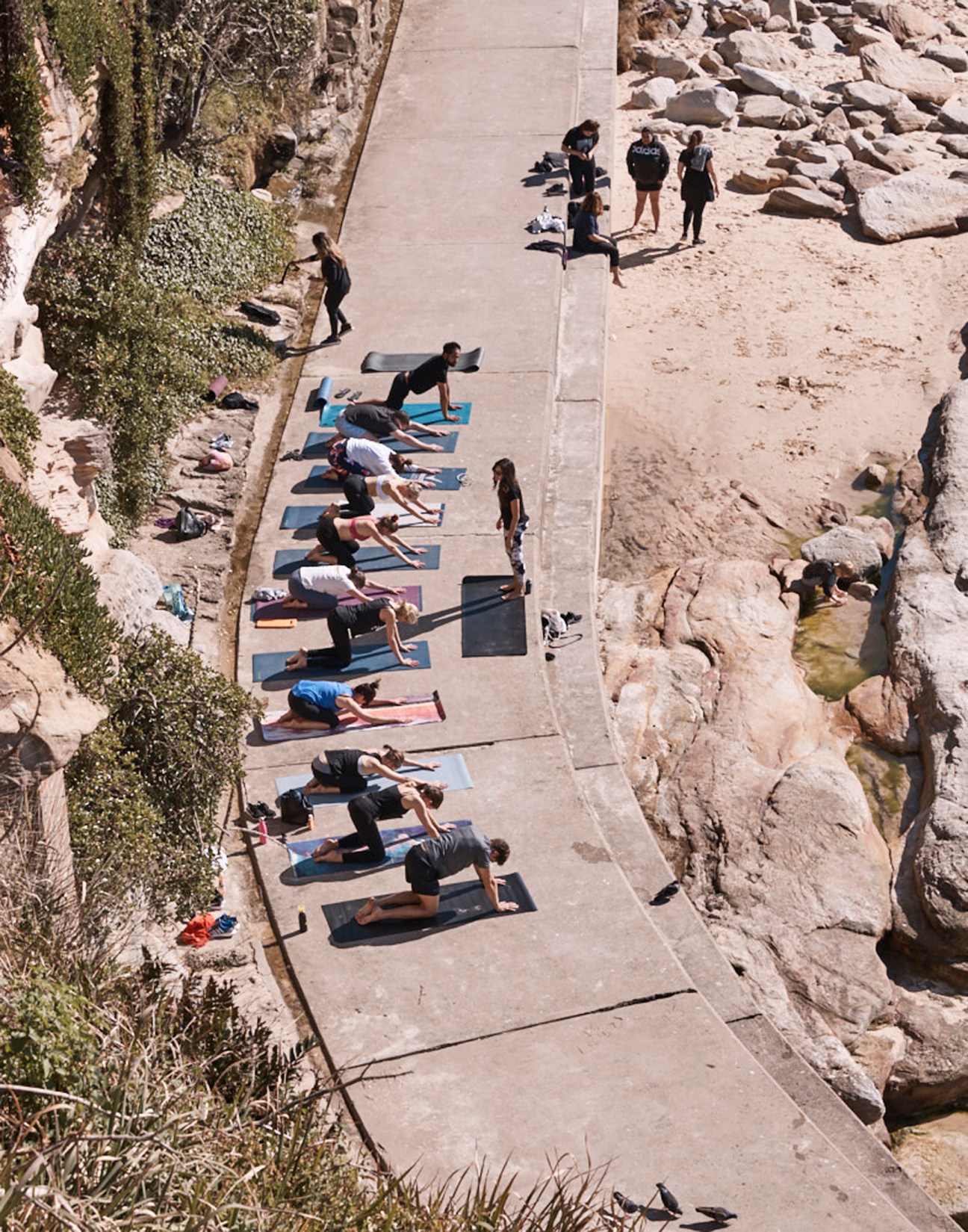 People practicing yoga on mats laid out on a concrete walkway beside rocky coastline