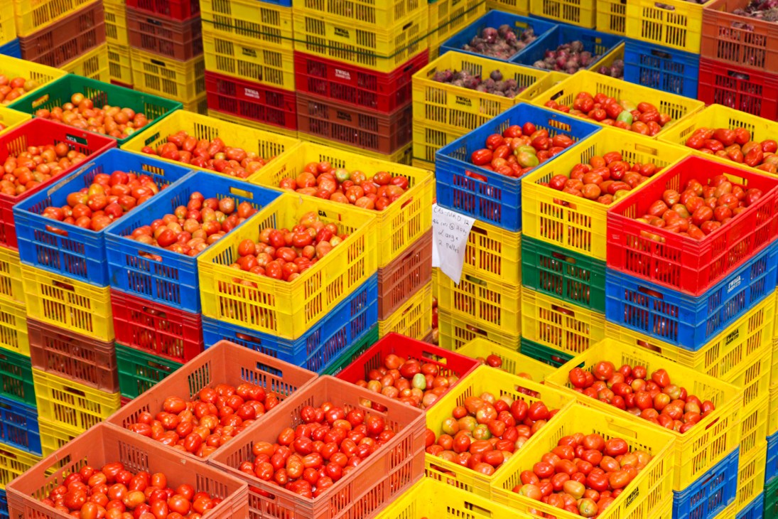 Colorful plastic crates filled with fresh tomatoes at Twiga Foods distribution center