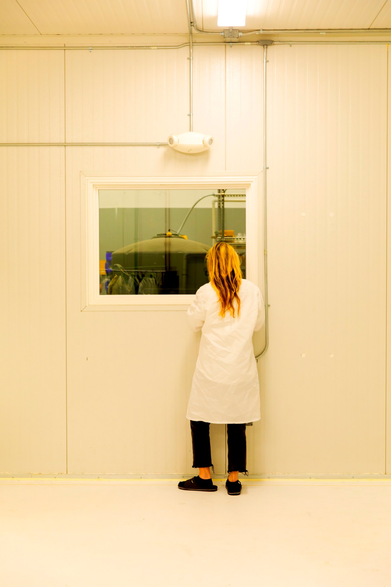 Person in white protective clothing and hair covering working in sterile vertical farming facility