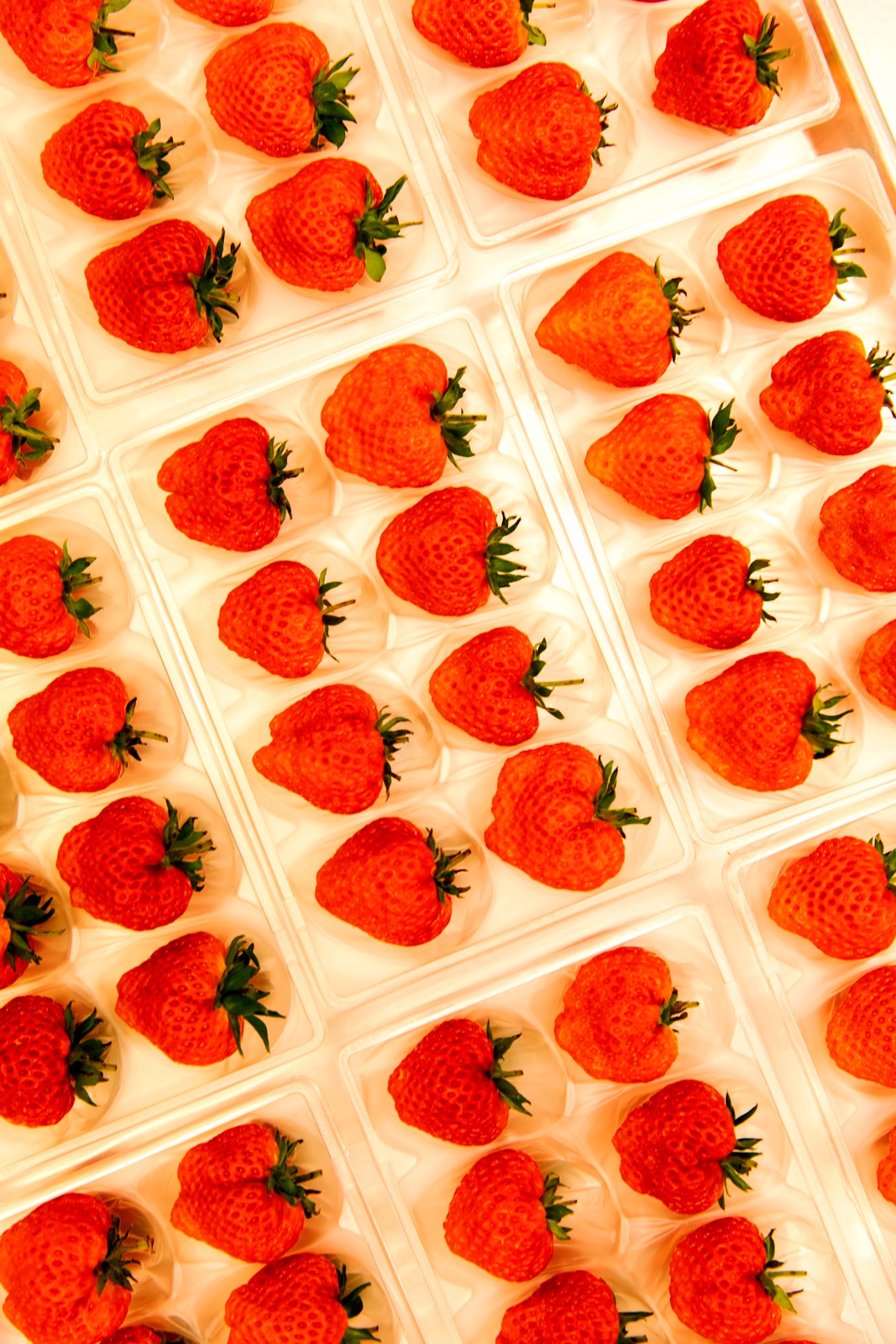 Eight pale pink Oishii strawberries arranged in premium clear plastic packaging container
