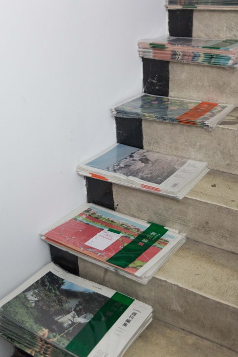 Magazines and publications arranged on concrete steps, showing QDY magazine covers with green and red designs.