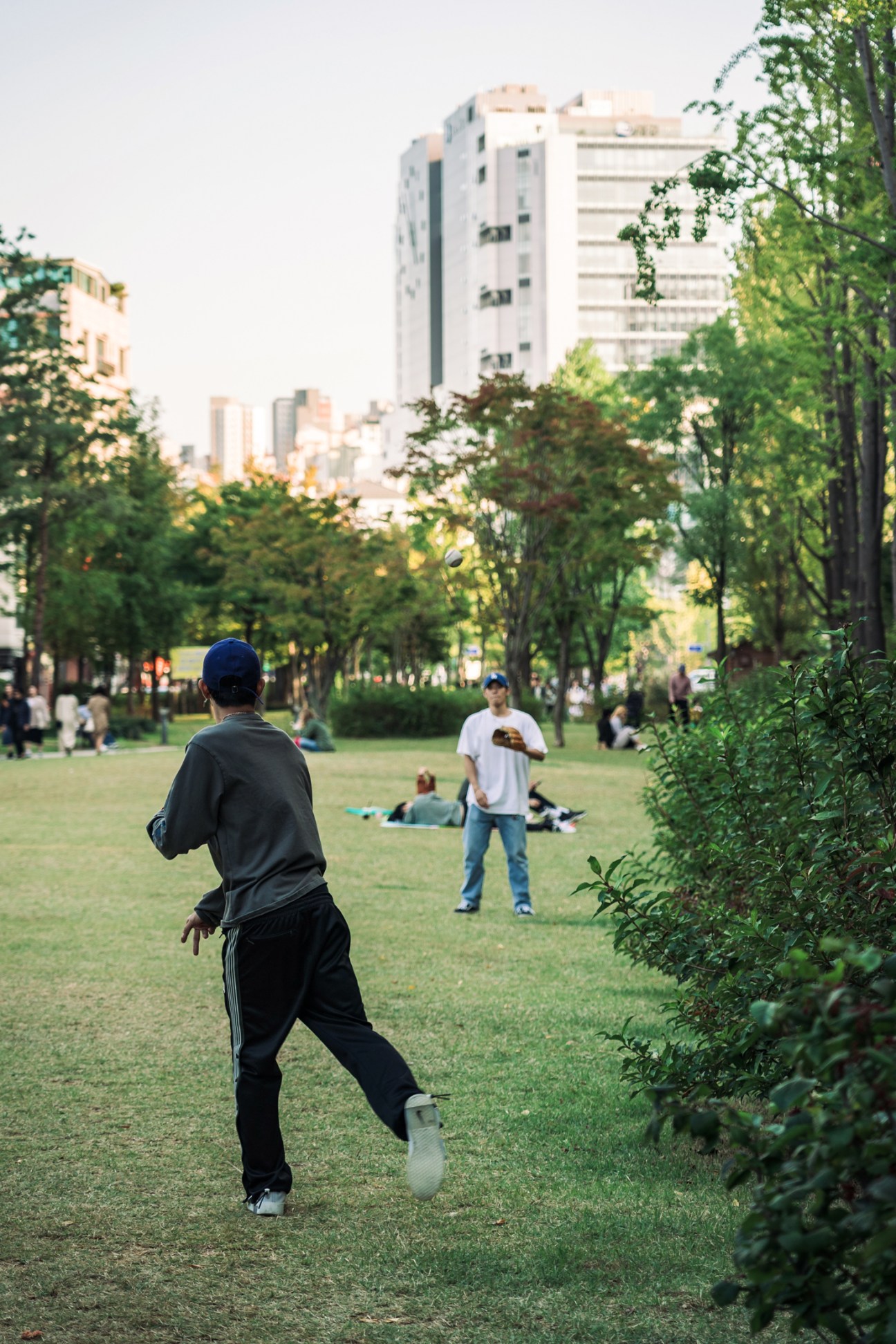 People relaxing on grass in Seoul's linear park with urban skyline and evening lighting
