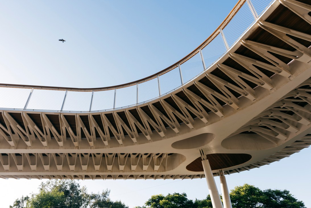 Curved architectural bridge structure with cable railings and organic design elements against blue sky.